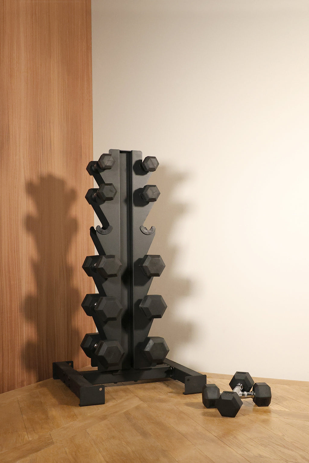 Northern Hex Dumbbell Set 1-6kg with Vertical Rack Lifestyle Image
