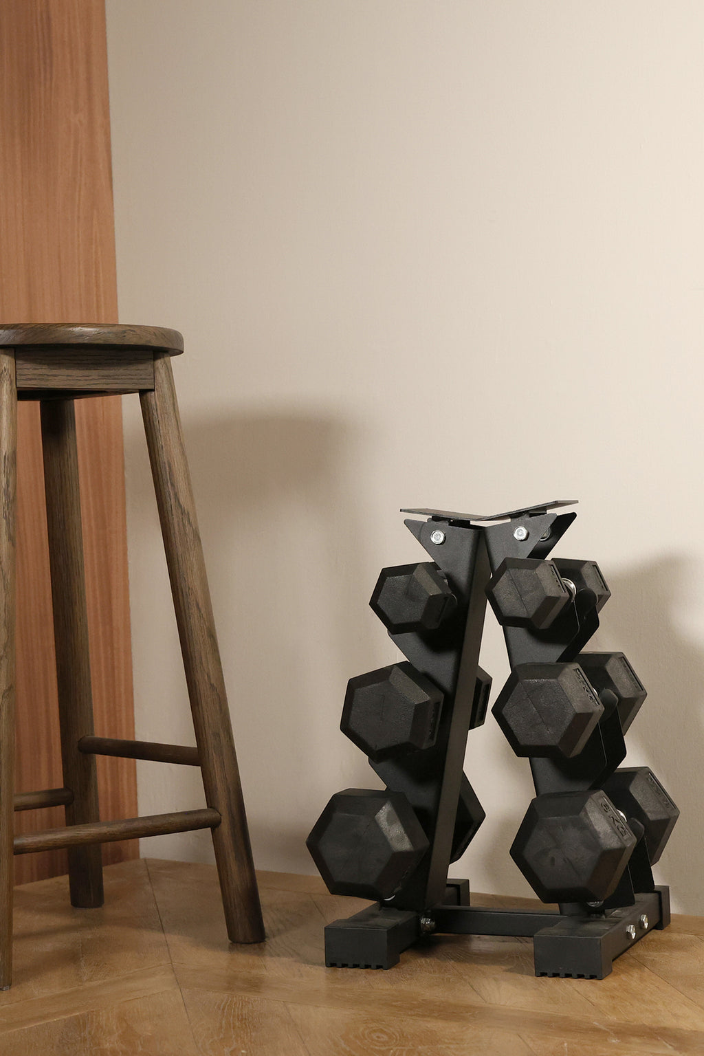 Home Gym Setup of Northern Hex Dumbbell Set 2-6kg with 3-Tier A-Frame Rack